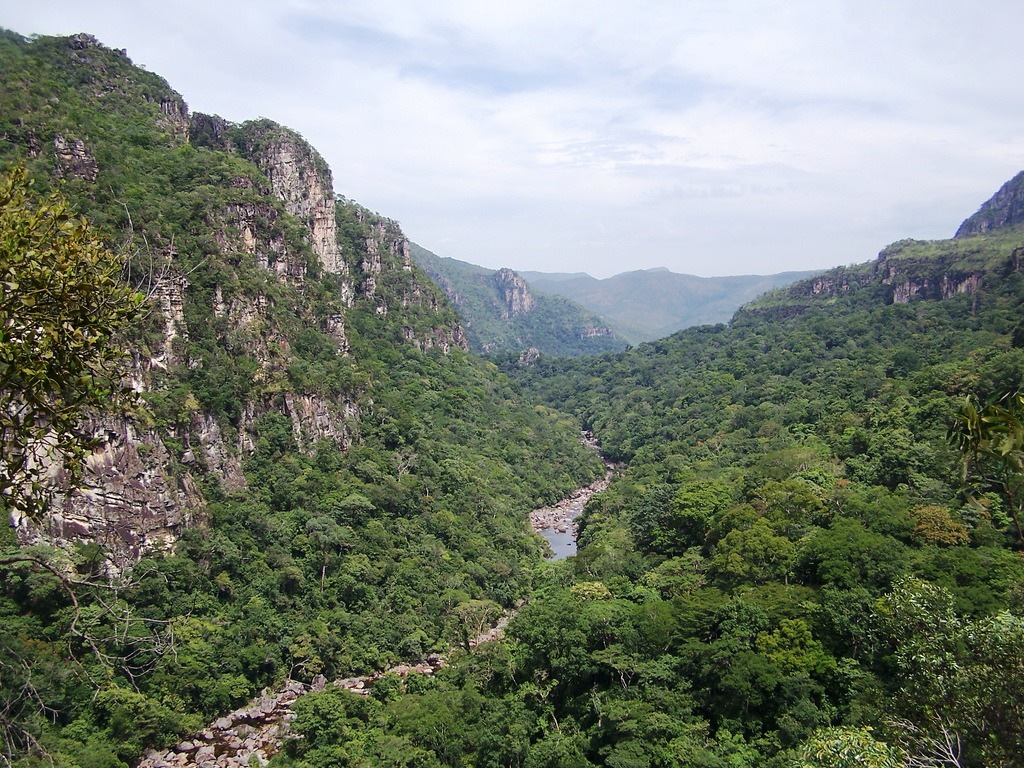 Cerrado Protected Areas Chapada dos Veadeiros and Emas National Parks