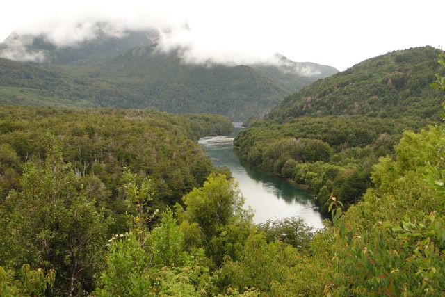 Los Alerces National Park