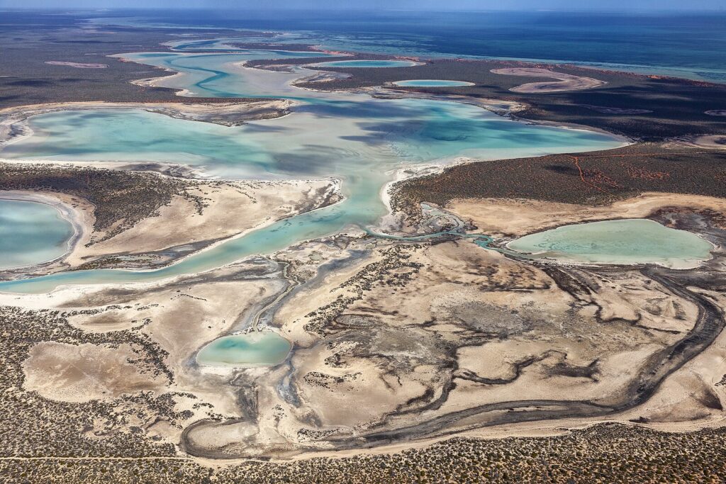 Shark Bay, Western Australia